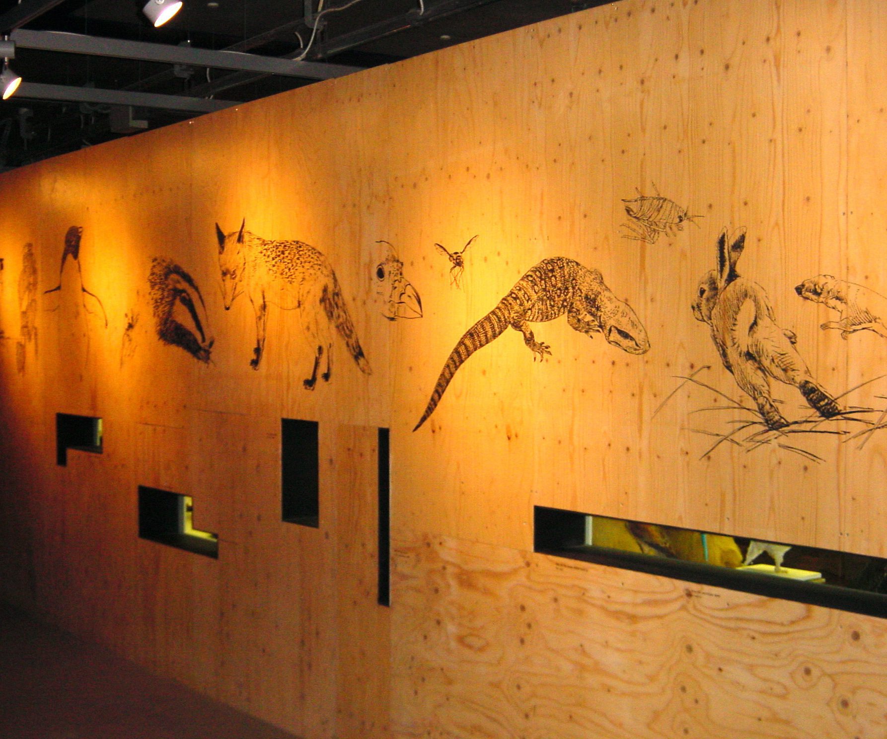 Wildlife Gallery At Thinktank, Birmingham
